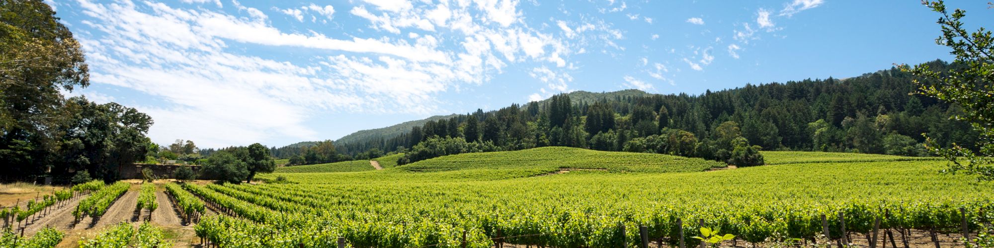 Sonoma Wine Country Events