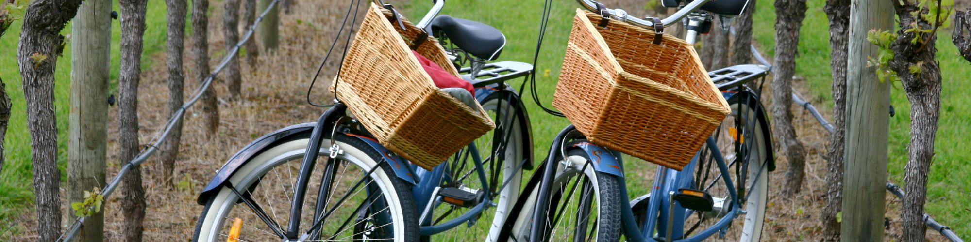 Sonoma Wine Country Events