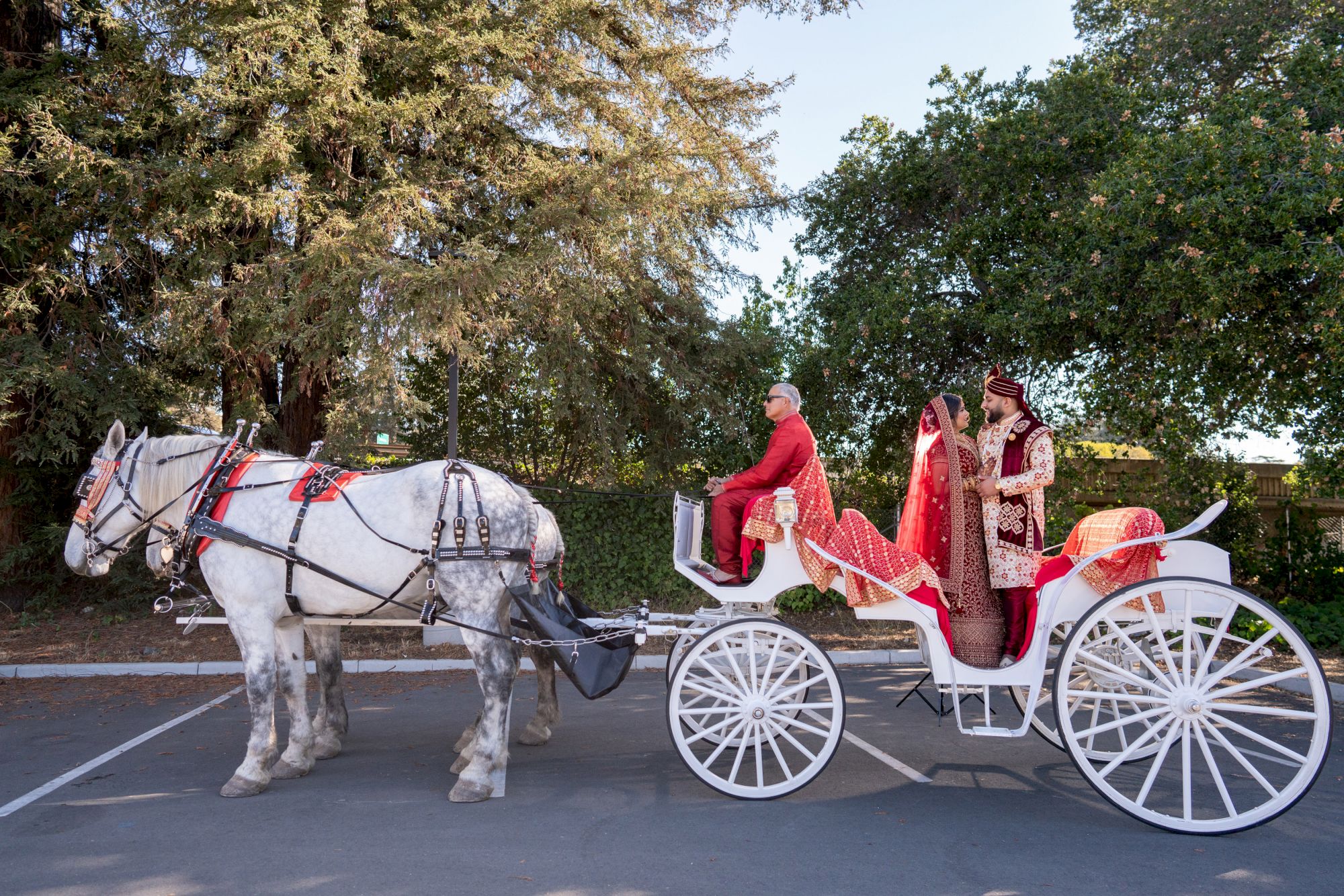 Sonoma Wine Country Events